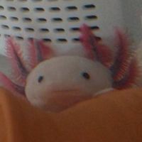 🦐三重カラオケ仲間🤗🎤
