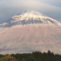 冨士大石寺顕正会