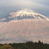 冨士大石寺顕正会