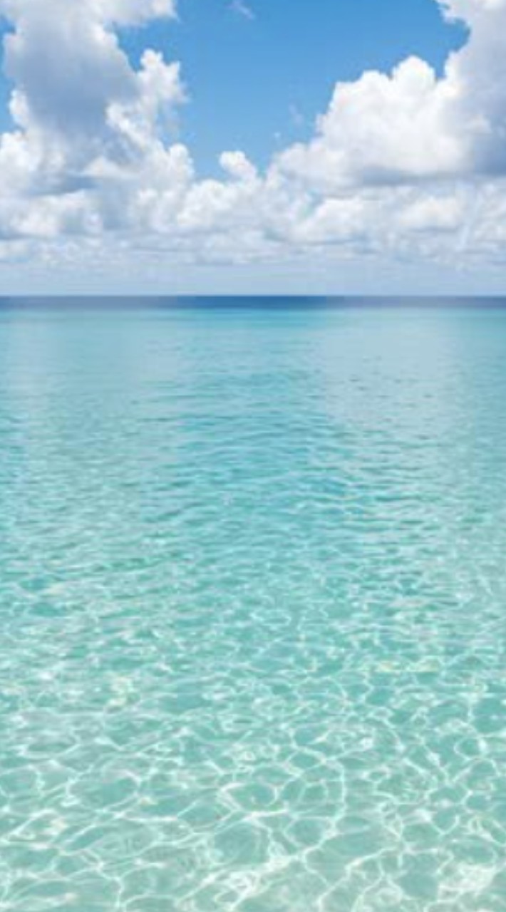 夏 だ  ❗  海 だ  ❗  全緩 だ  〜〜  ‼️‼️‼️  🫵🏻🫵🏻