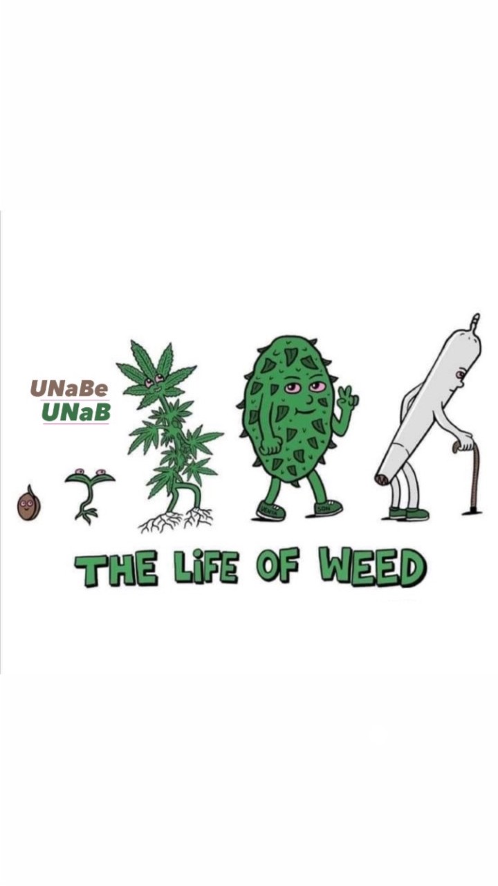 𝐌𝐬.𝐌𝐚𝐫𝐲 𝐉𝐚𝐧𝐞 (𝐮𝐧𝐚𝐛.)
