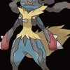 ポケモンチャンピオンズ相談用