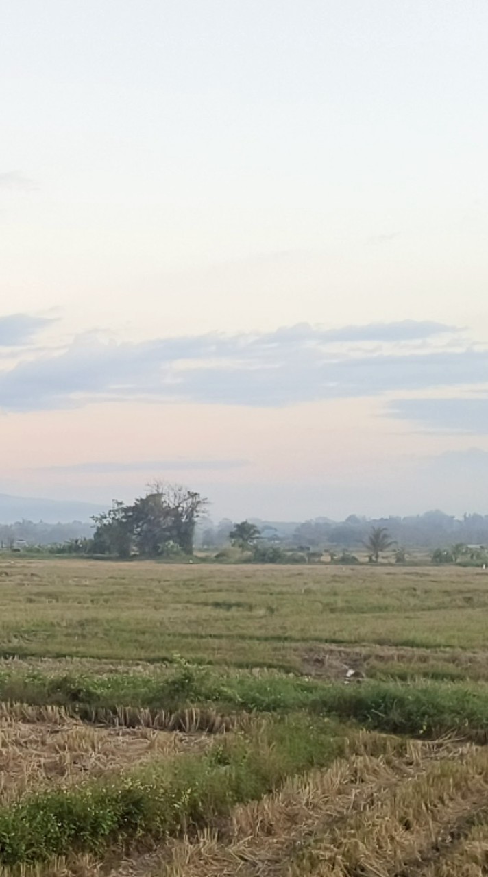 วิดีโอเกษตร