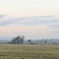 วิดีโอเกษตร