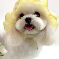 永慶寵物美容專賣店