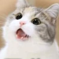 啪啦賴親媽團