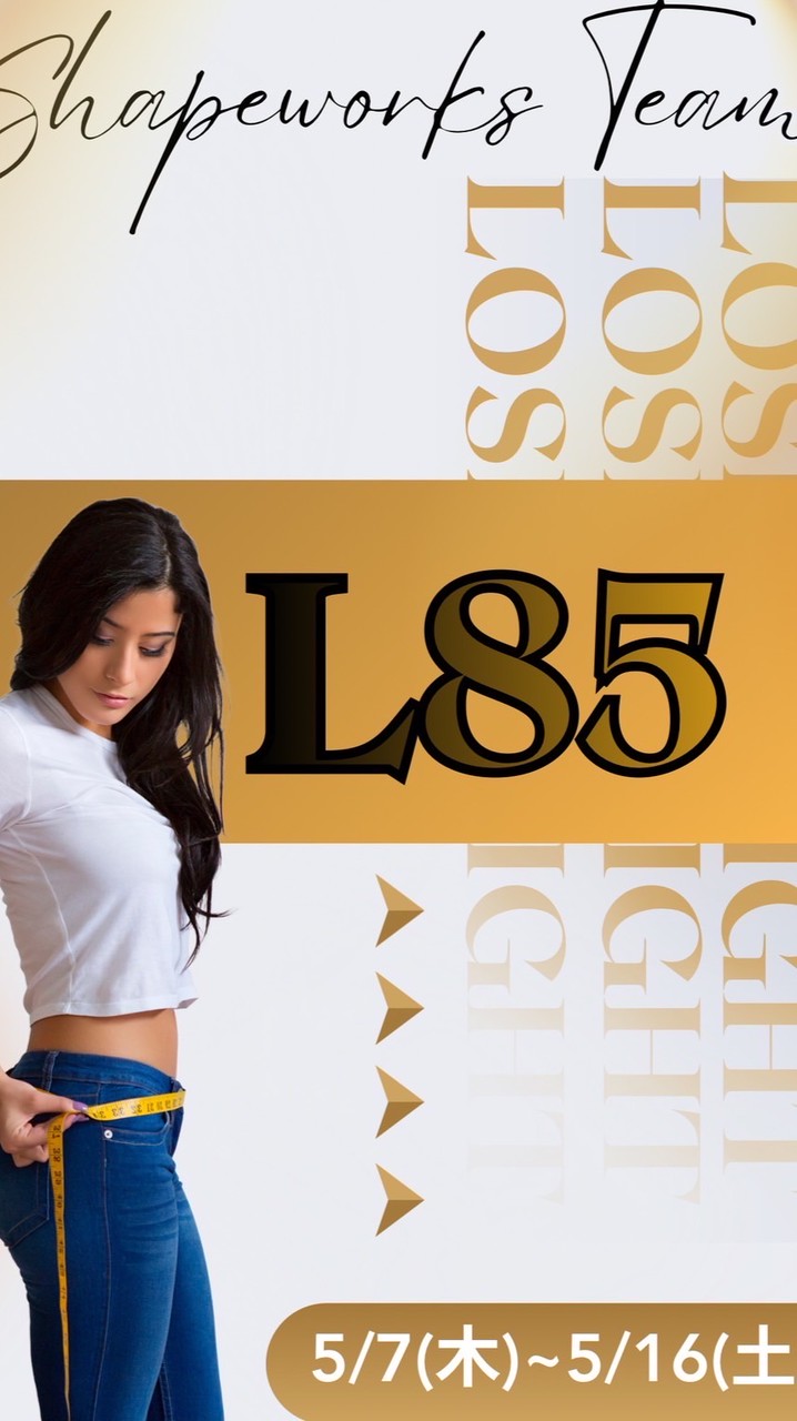L85 Shapeworks Team