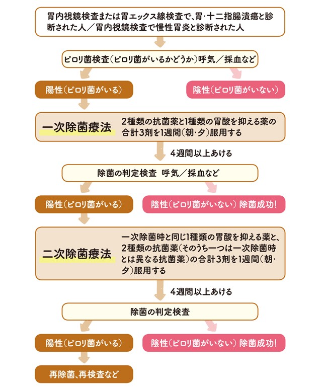 胃がんリスクを軽減 ピロリ菌除菌 の基礎知識