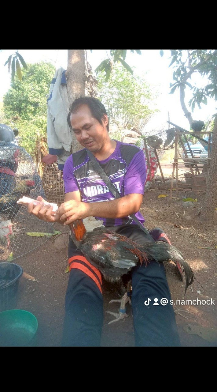 ส.ป่าเป้าน้อย