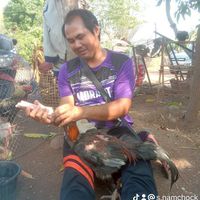 ส.ป่าเป้าน้อย
