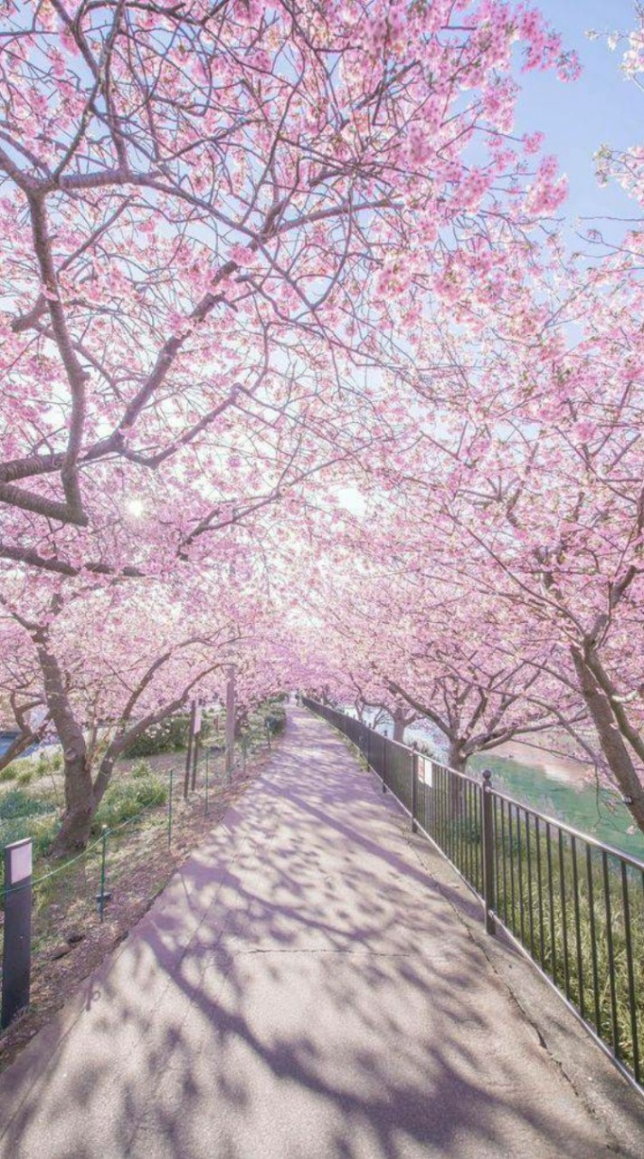 芸能人nrkrシェアハウス学園