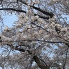 2026大日向中学移住おうえん隊