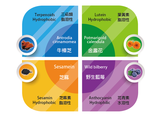 「保健品」每日視力最佳護盾首選，獲取幸福國度禮讚-「明視芬蘭野生藍莓粉Plus金盞花、 芝麻素」開箱分享