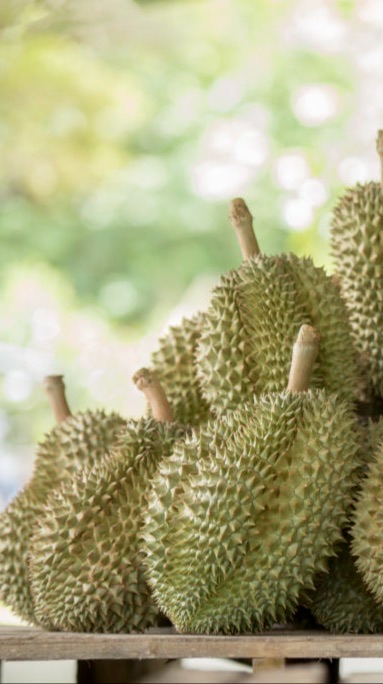 กลุ่มเกษตรกรชาวสวนภาคตะวันออกx CPFresh