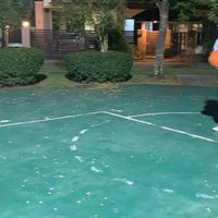 Benjaporn Tournament (15-16)Nov