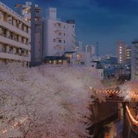 ☛โรล☚ 『日本、スーシティˊ』𖤍