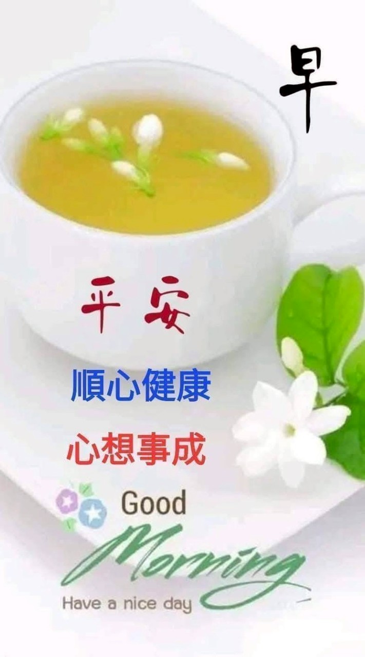 搞笑趣味綜合影片群