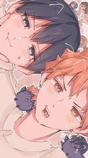 ハイキュー好きおいで〜