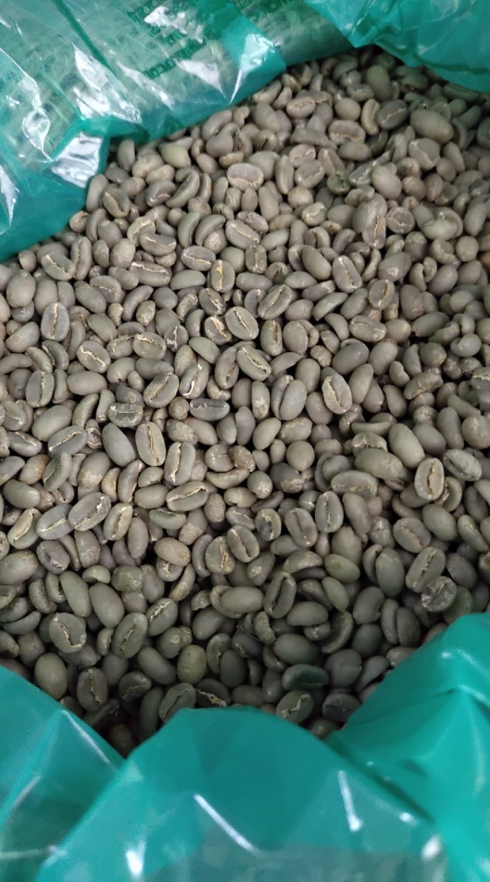 黑色力量生豆賣場
