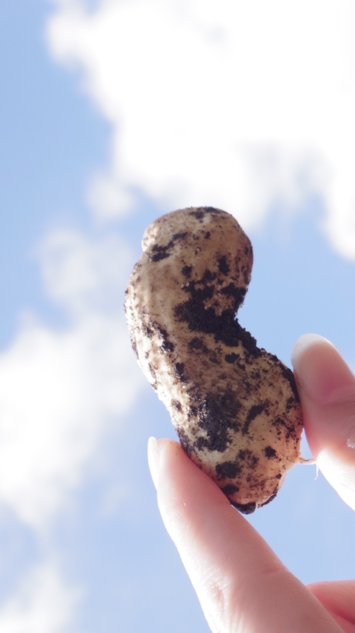 🥜みなみあそらっかせい発信局MULTI