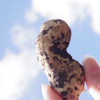 🥜みなみあそらっかせい発信局MULTI