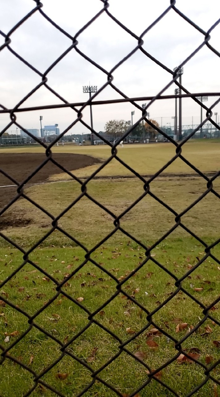 フェニックス
