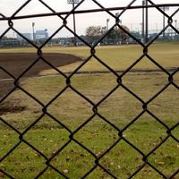 フェニックス