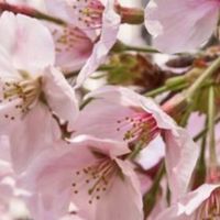 新学期相談（何でも相談！）