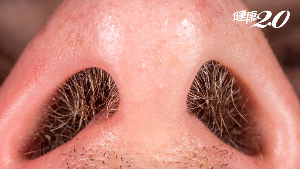 The Importance of Nose Hair in Respiratory Defense: New Research Reveals Link to Allergies and Hair Loss