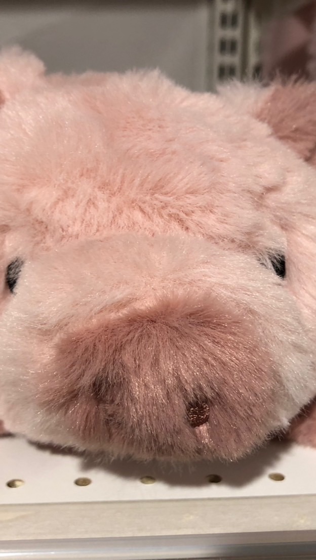 智學園國二數學