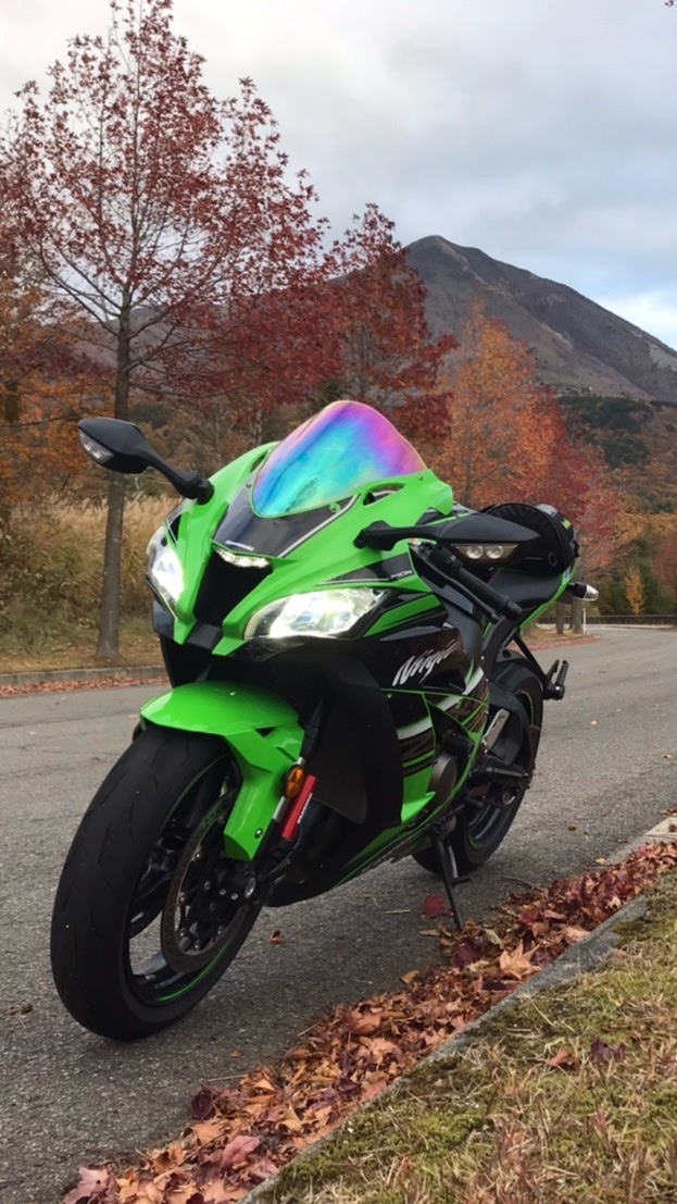zx10r