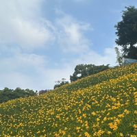 114兆旺旅遊團