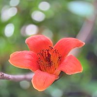 大中醫知識分享