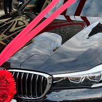 歡迎車友加入w223 w206 w213小改款w214禮車派遣團隊