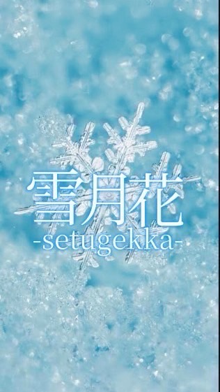 雪月花【残荒月傘下】