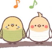 インコ合唱団🦜