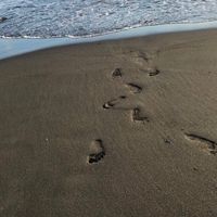 肺腺がんで闘病中