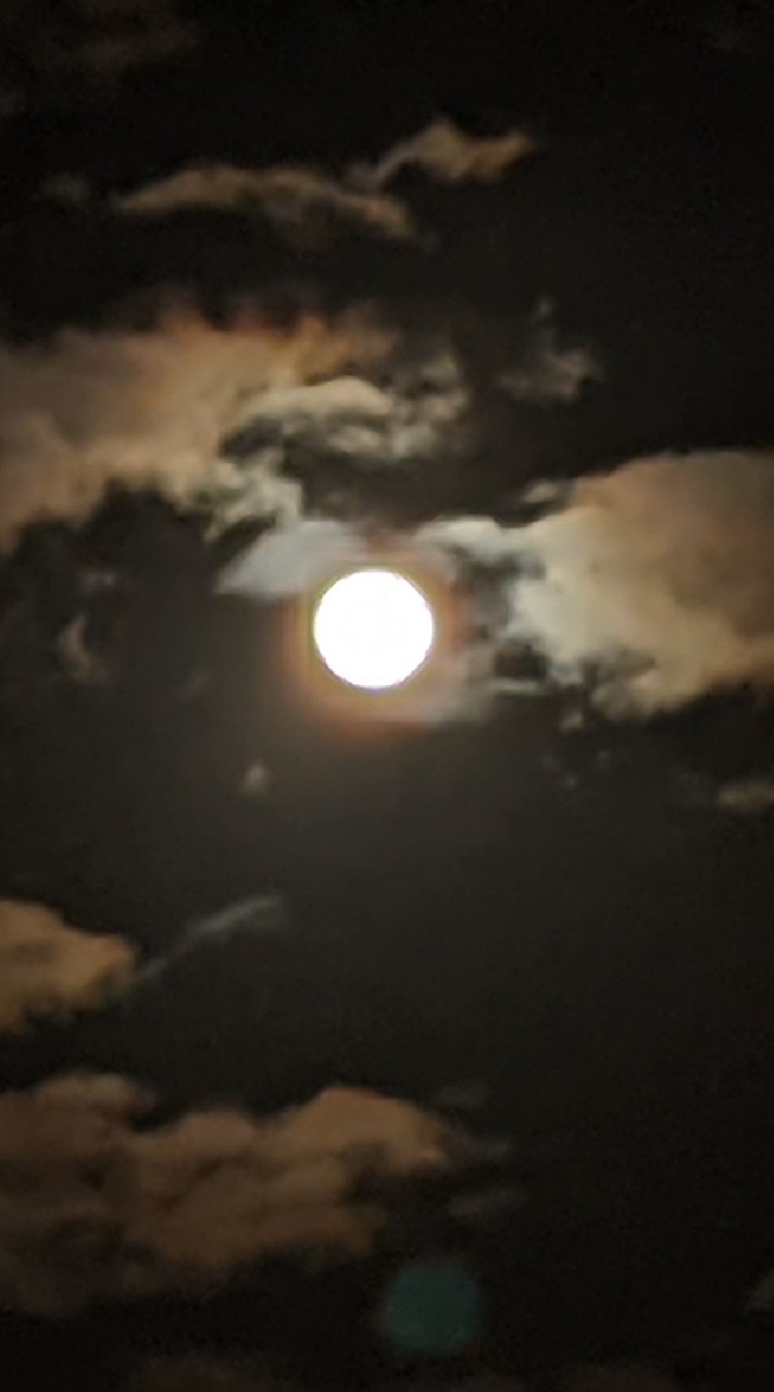 OpenChat しげのつながり