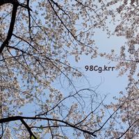 98CG.krr