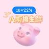 🐷八兩排生鮮專賣［22%IBV]🐷