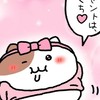 全緩也😺