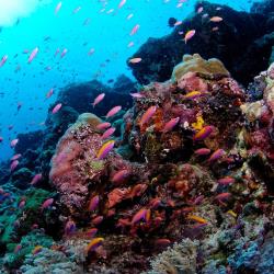 小孩(3~12歲)不佔床者扣2000元2足歲以下嬰兒費用:嬰兒(未滿兩歲)NT7000元(已含稅燃料費、不含簽證費)指定單人房補價差(全程):NT6500元(本套券所指住房皆為兩人一室)若單人報名無法