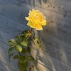 ボイメで歌うだけ。以上。