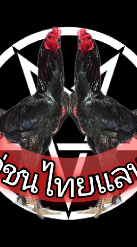 ไก่ชนไทยแลนด์