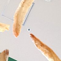 自由に話せぇぇぇぇ！！！！！