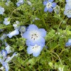 香川県高松 交流会