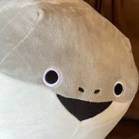 イラスト見せあぉぉう