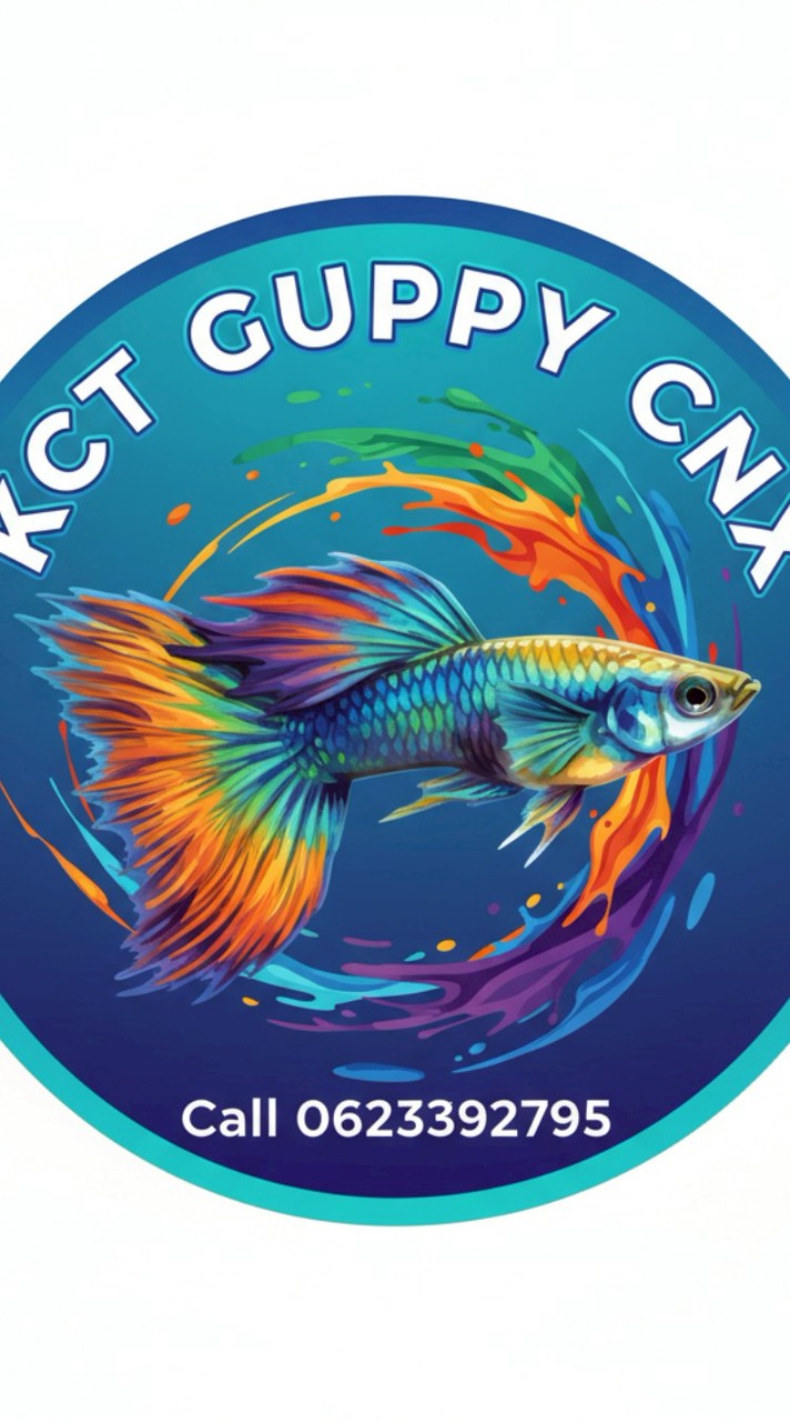 KCT Crayfish & Guppy
