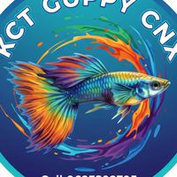 KCT Crayfish & Guppy