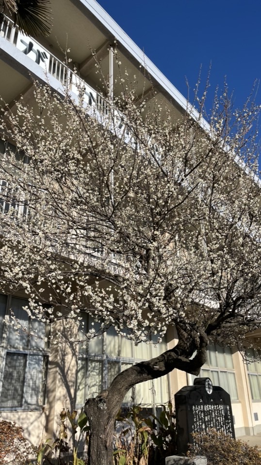 令和7年度検見川小学校